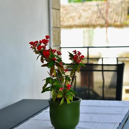 Banko Appartement Poreč