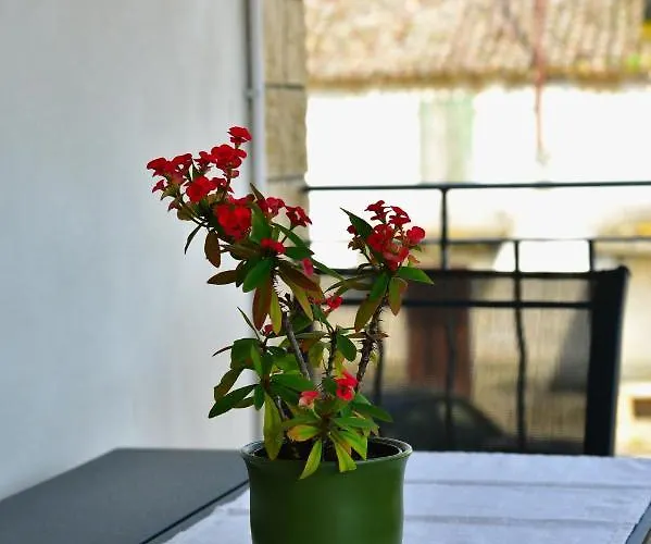 Banko Appartement Poreč